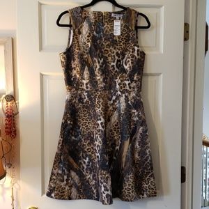 Jennifer Lopez Dress